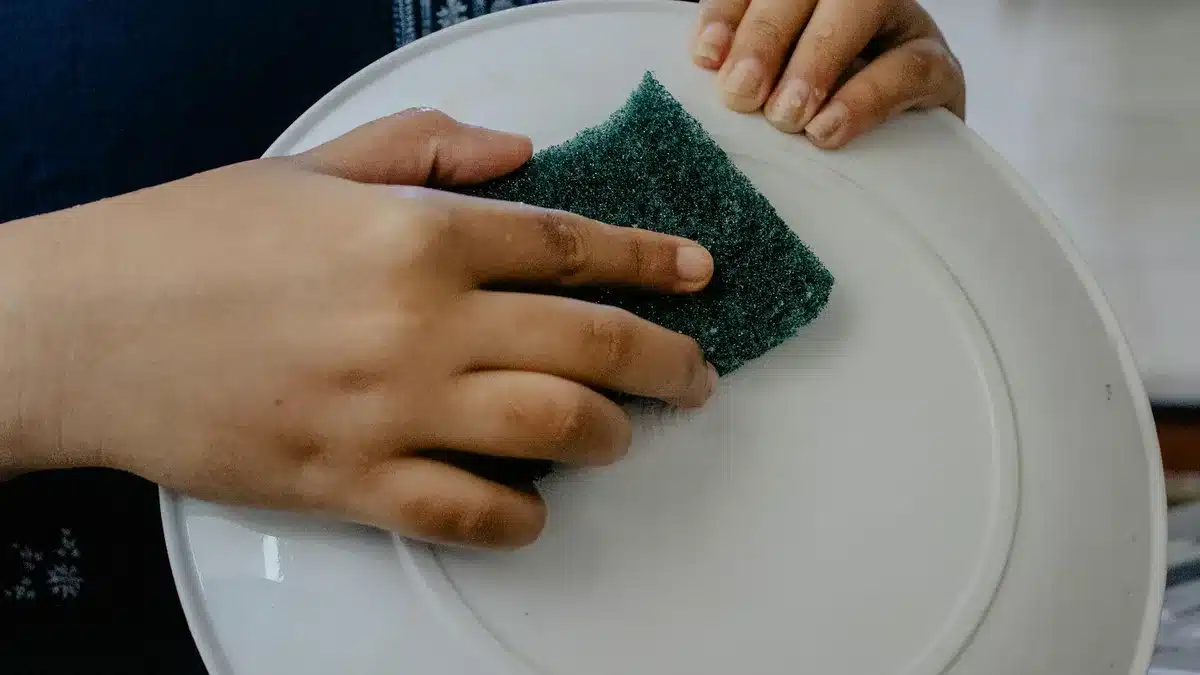 nylon scrubber