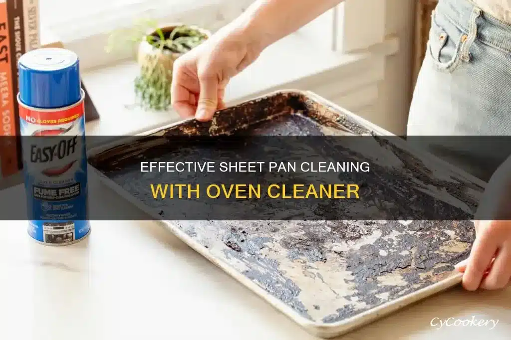 oven cleaner application