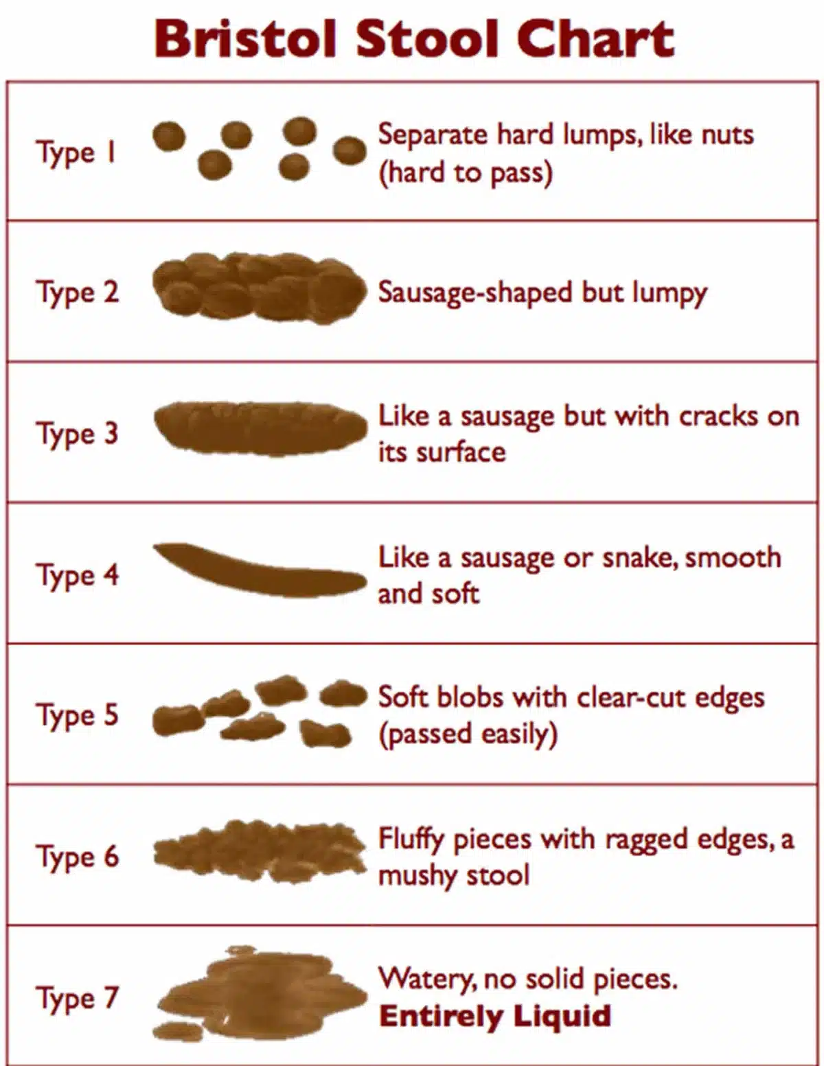 Bristol Stool Scale