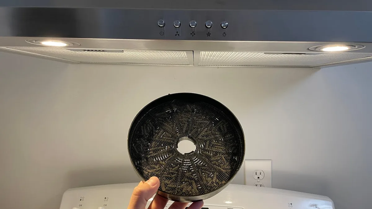 filter removal pre-clean sequence