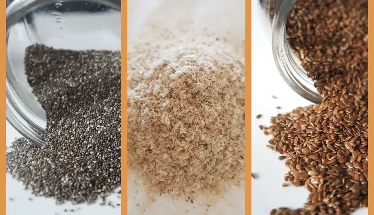 food to bulk up stool
