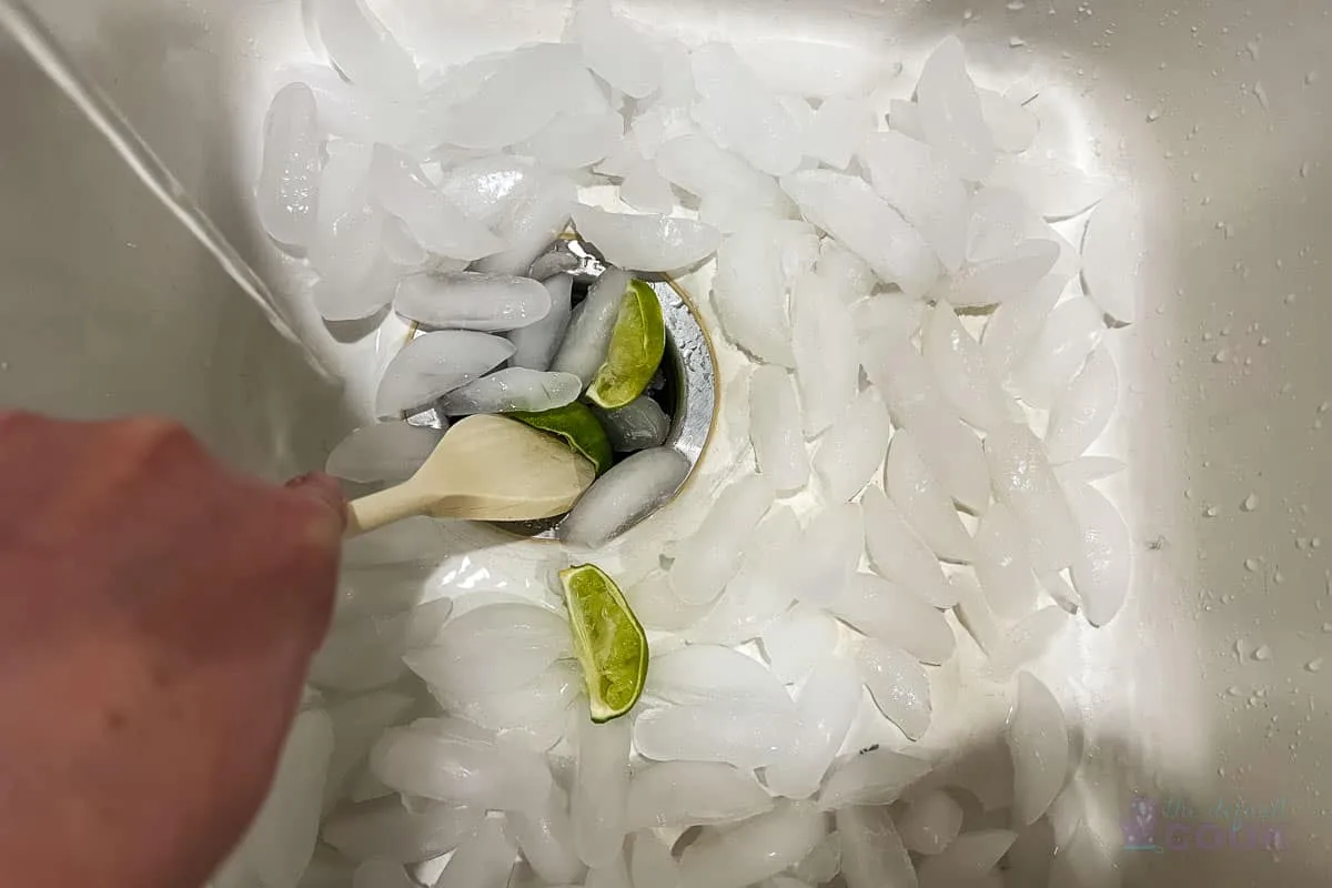 garbage disposal ice citrus maintenance
