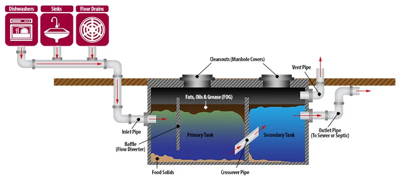 P-trap biofilm grease buildup