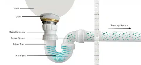 P-trap water seal