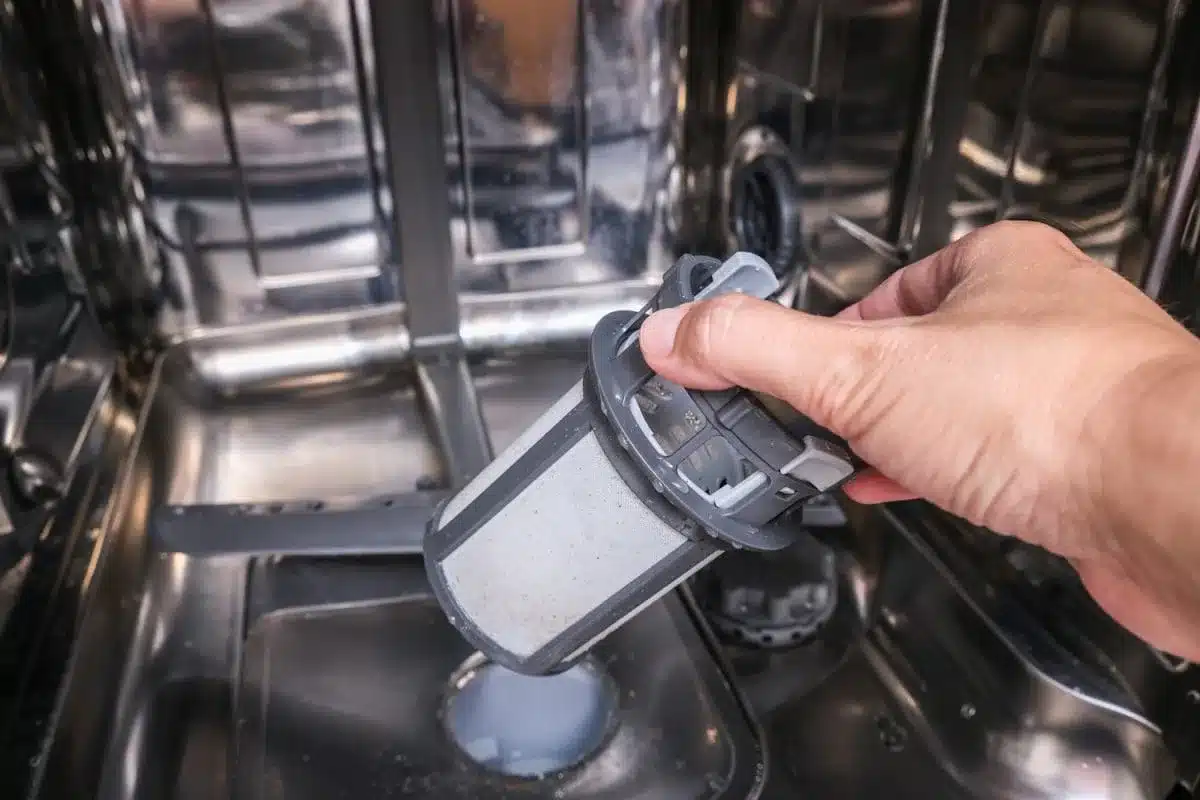 rinse dishwasher filter