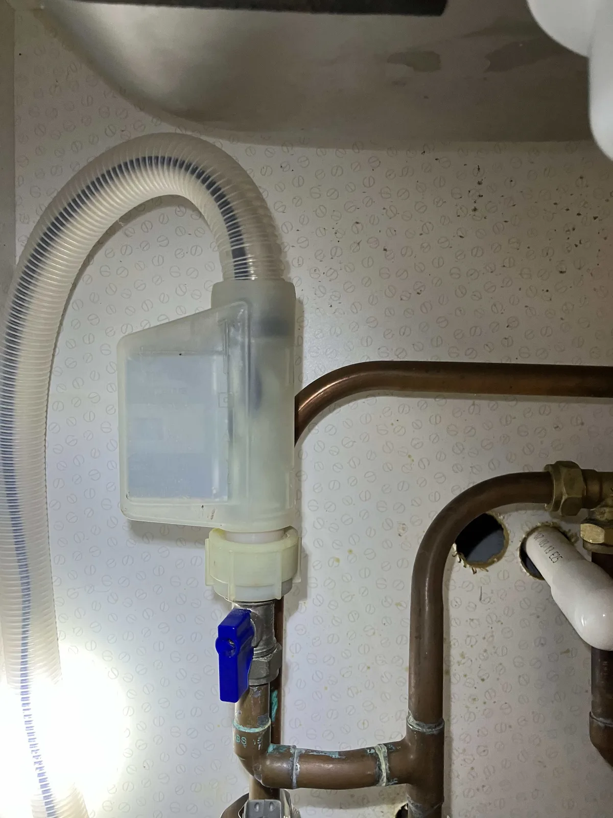 Bosch dishwasher not filling with water